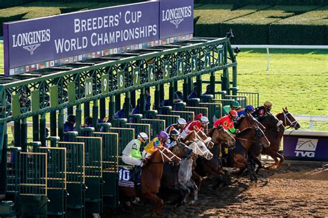 breeders cup betting challenge